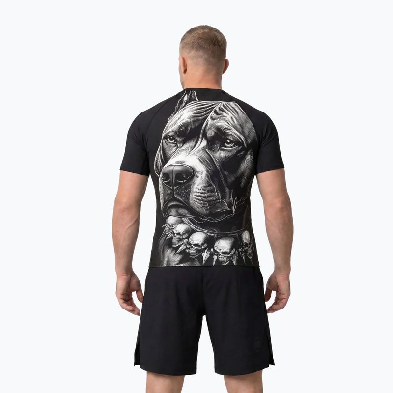 Pánsky rashguard Pitbull Blacky Rashguard black 3