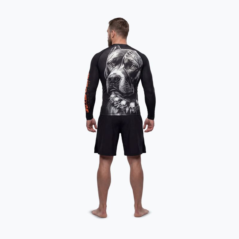 Pánsky rashguard s dlhým rukávom Pitbull Blacky Rashguard 3
