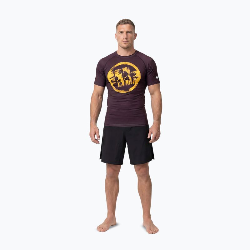Pánske tričko Pitbull Rashguard Logo Palms brown 2