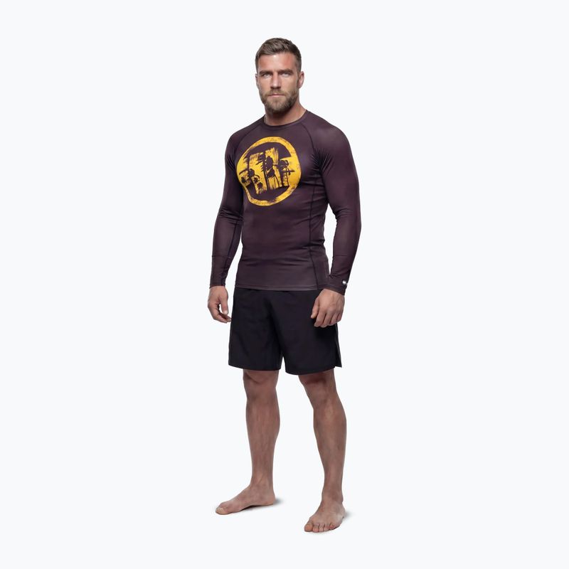 Pánsky rashguard s dlhým rukávom Pitbull Rashguard Logo Palms brown 2