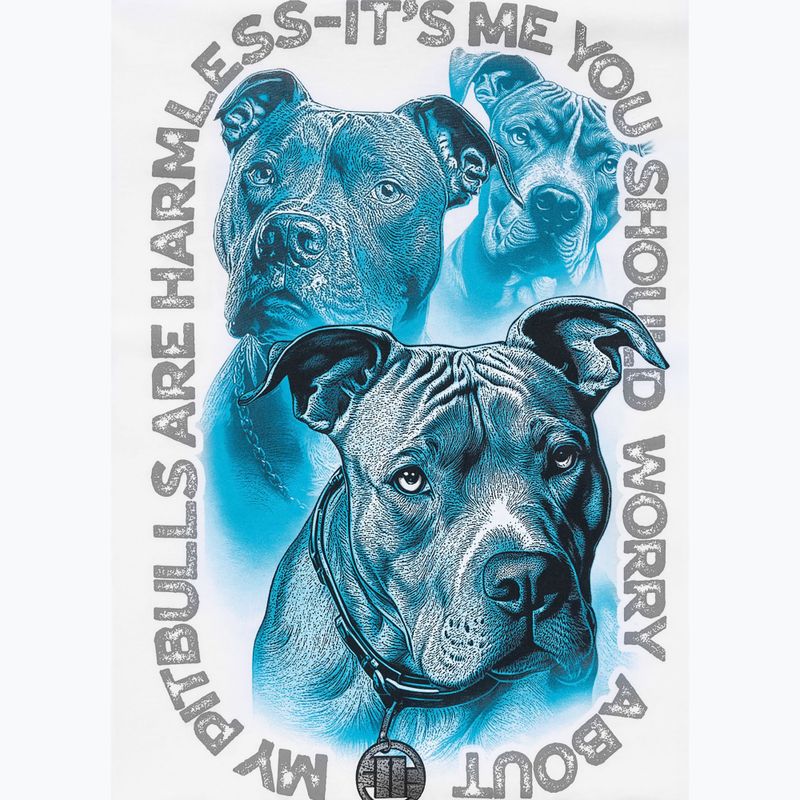 Pánske tričko Pitbull Protector white 11