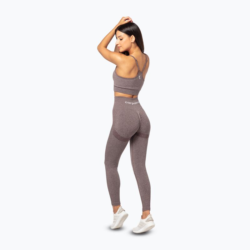 Dámske tréningové legíny Carpatree Allure Seamless brown melange (pepper corn) 3