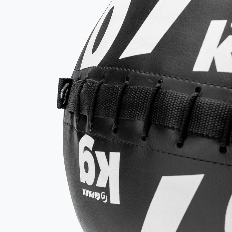 Nástenná lopta Gipara 7 kg fialová 3095 3