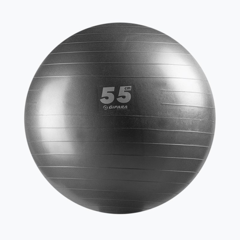 Gipara fitness lopta 55 cm sivá 3141