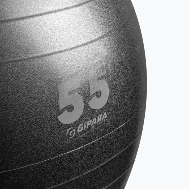 Gipara fitness lopta 55 cm sivá 3141 2