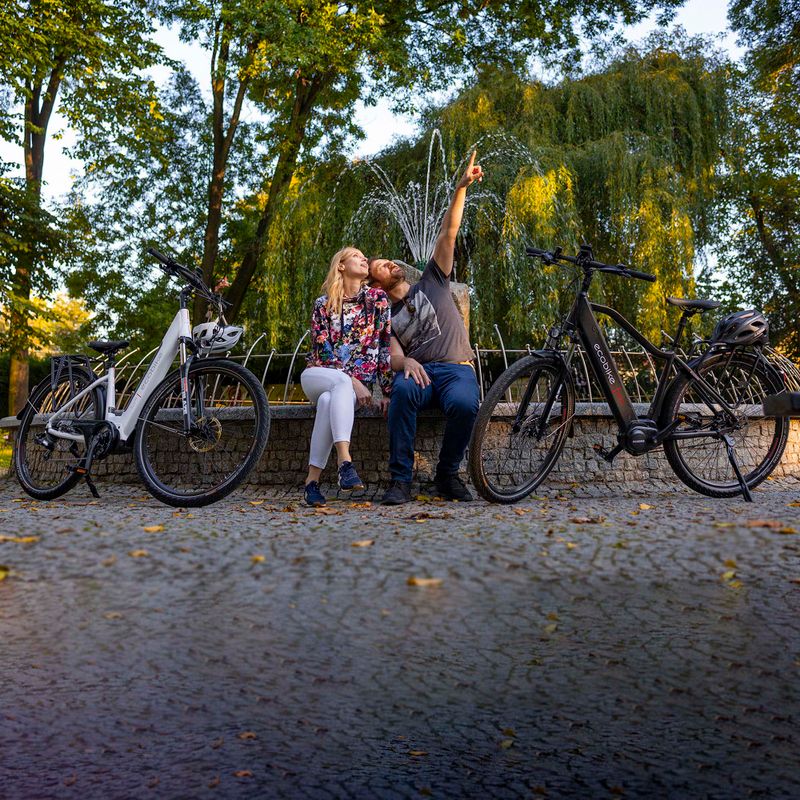 Ecobike LX300 Greenway elektrický bicykel biely 1010306 20