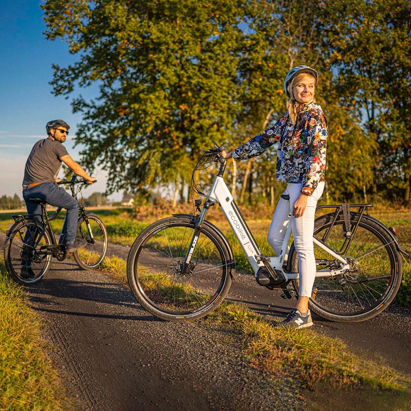 Ecobike LX300 Greenway elektrický bicykel biely 1010306 21