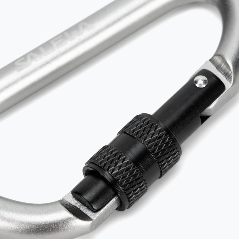 Salewa D-Shape Carbiner so skrutkou šedá 00-0000034102 3