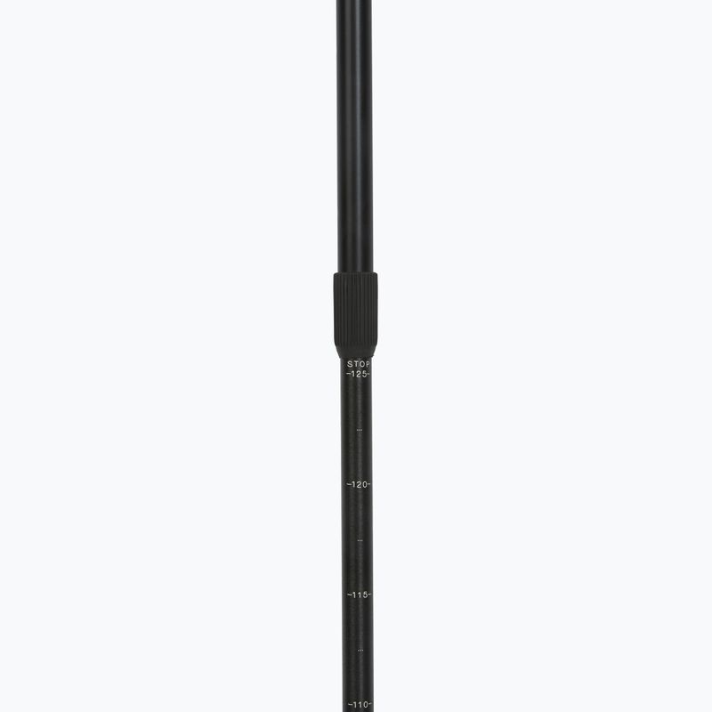 Palice na nordic walking Fizan Smu Active black 4