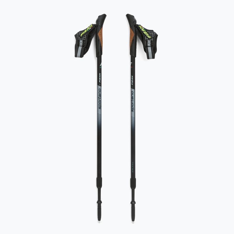 Palice na nordic walking Fizan Smu Active black 5