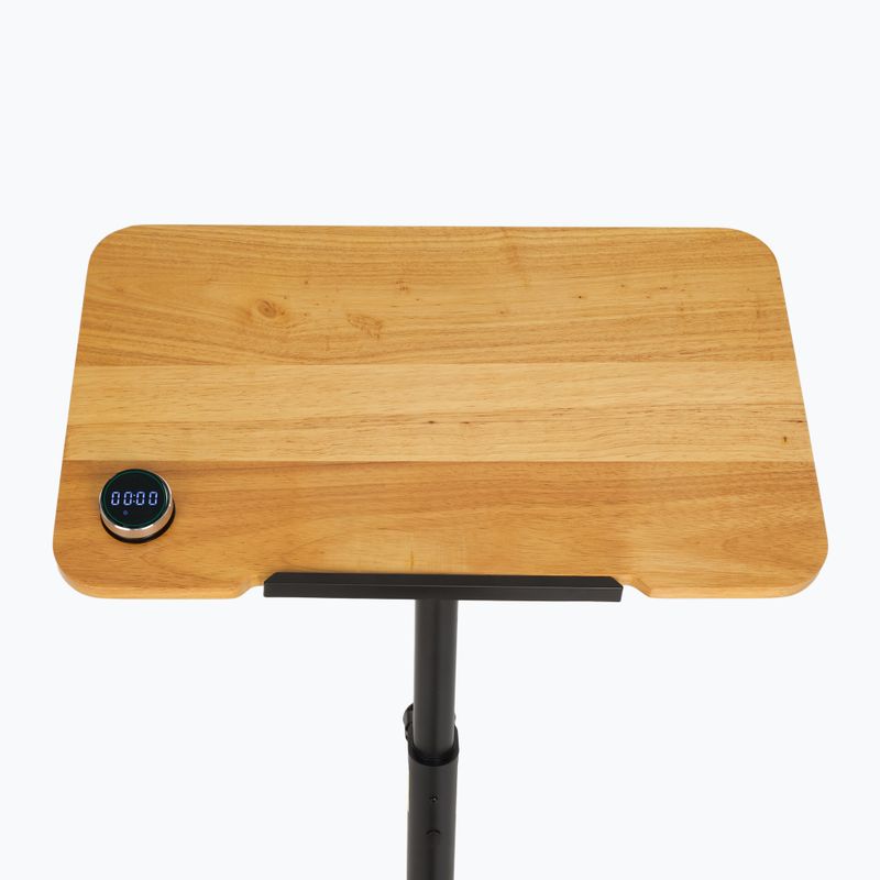 Elektrobicykel XTREXO EB400-desk black 5