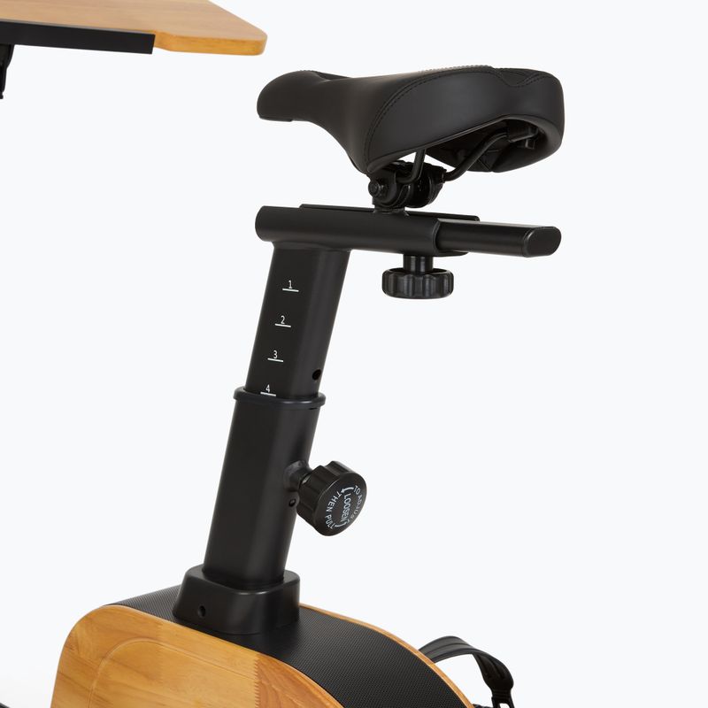 Elektrobicykel XTREXO EB400-desk black 6