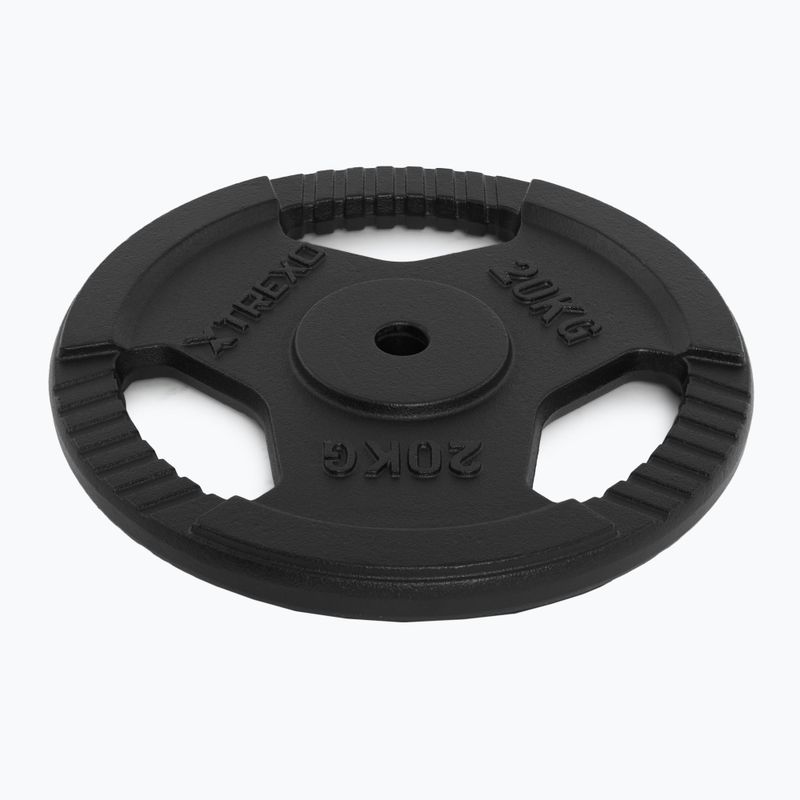 Liatinový kotúč XTREXO TRX-ICP020 20 kg chróm