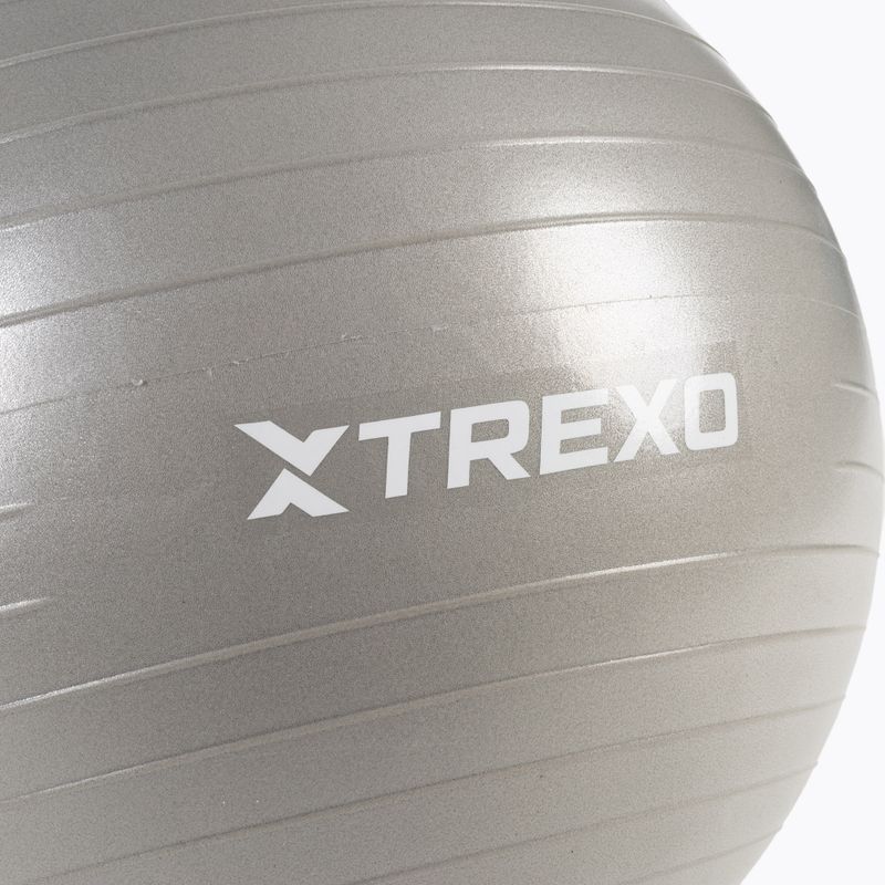 TREXO Gymball TXO-B4Z007-GY 55 cm sivá 6