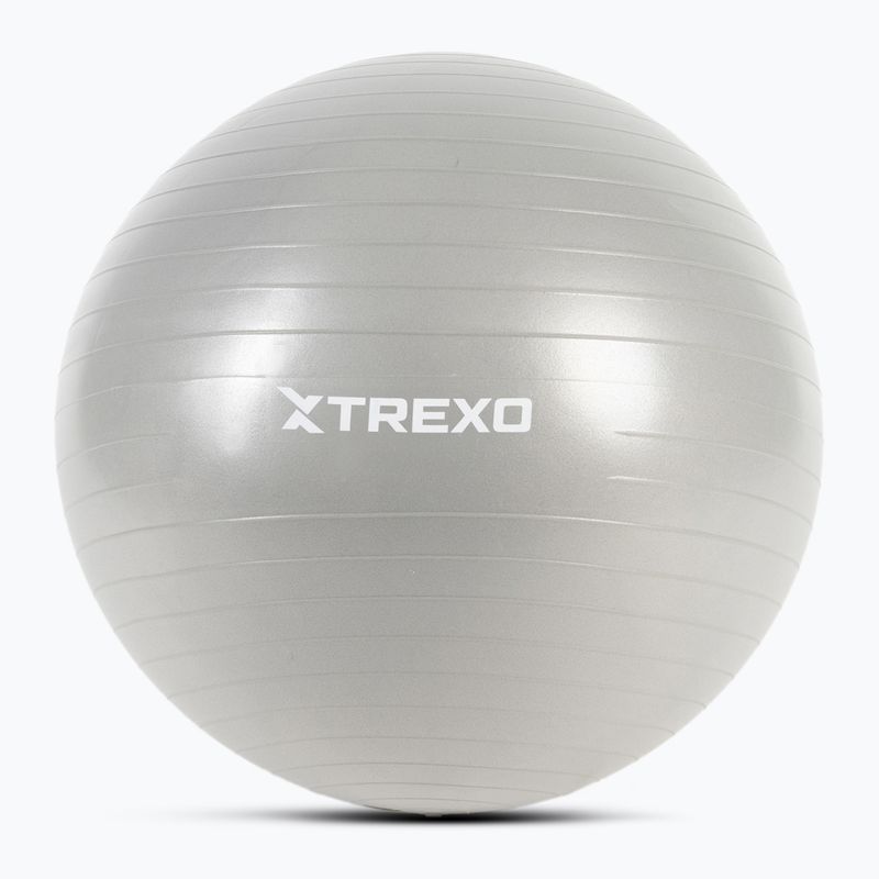 TREXO Gymball TXO-B4Z008-GY 65 cm sivá