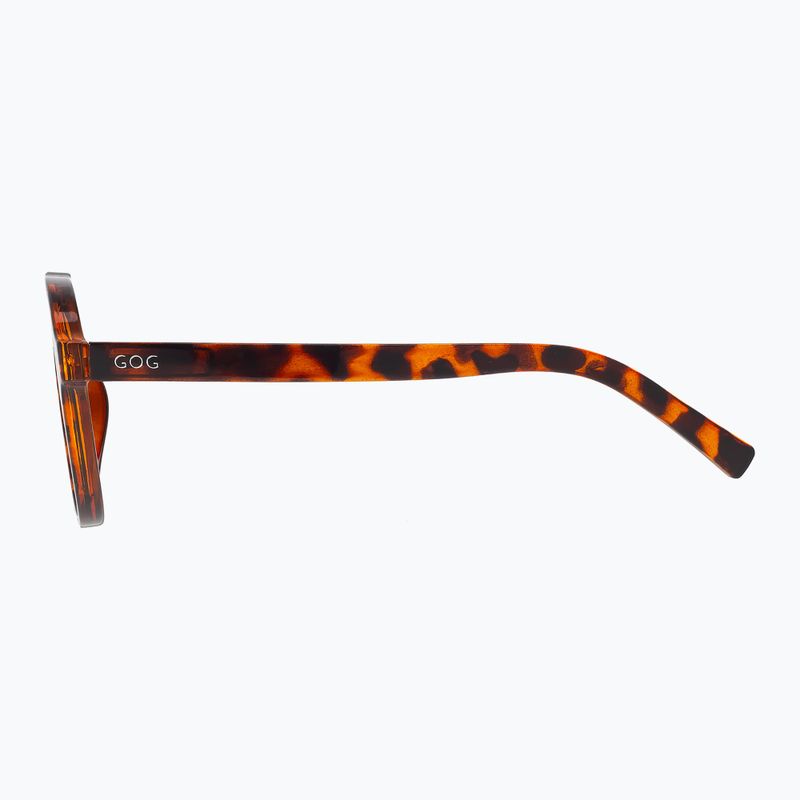 Slnečné okuliare GOG Ranger brown demi/green 3