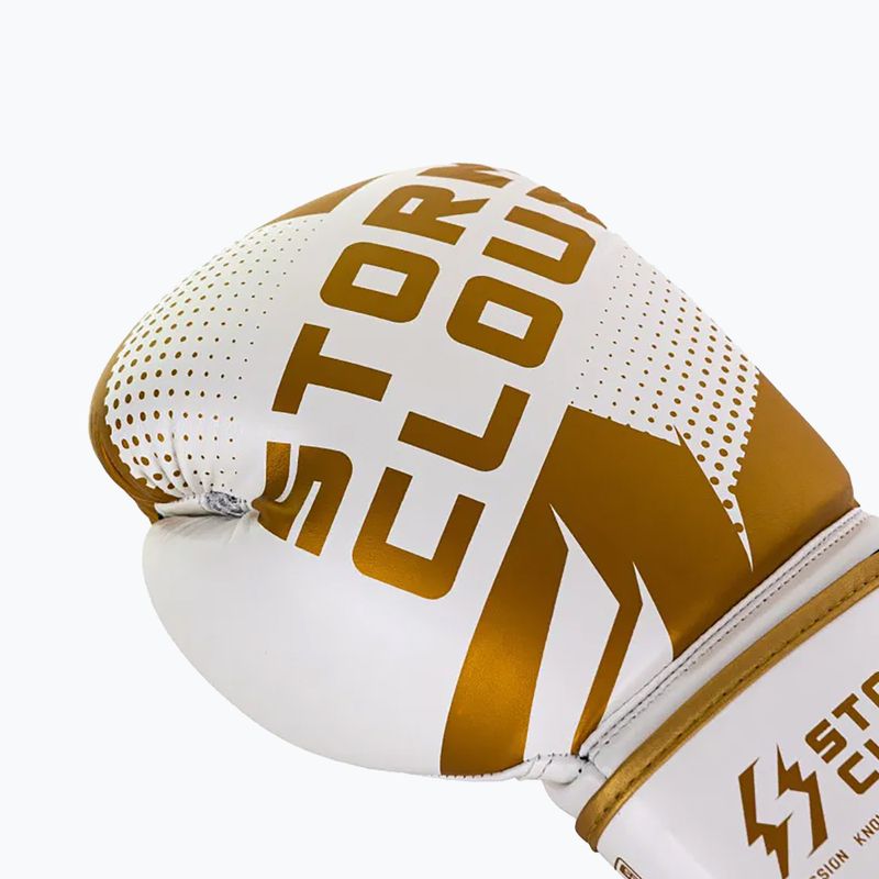 Boxerské rukavice StormCloud Bolt 3.0 white/gold 6