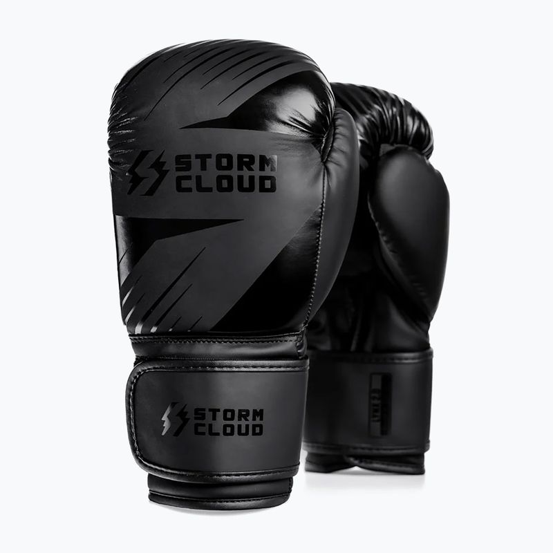 Boxerské rukavice StormCloud Lynx 2.0 black/black 2