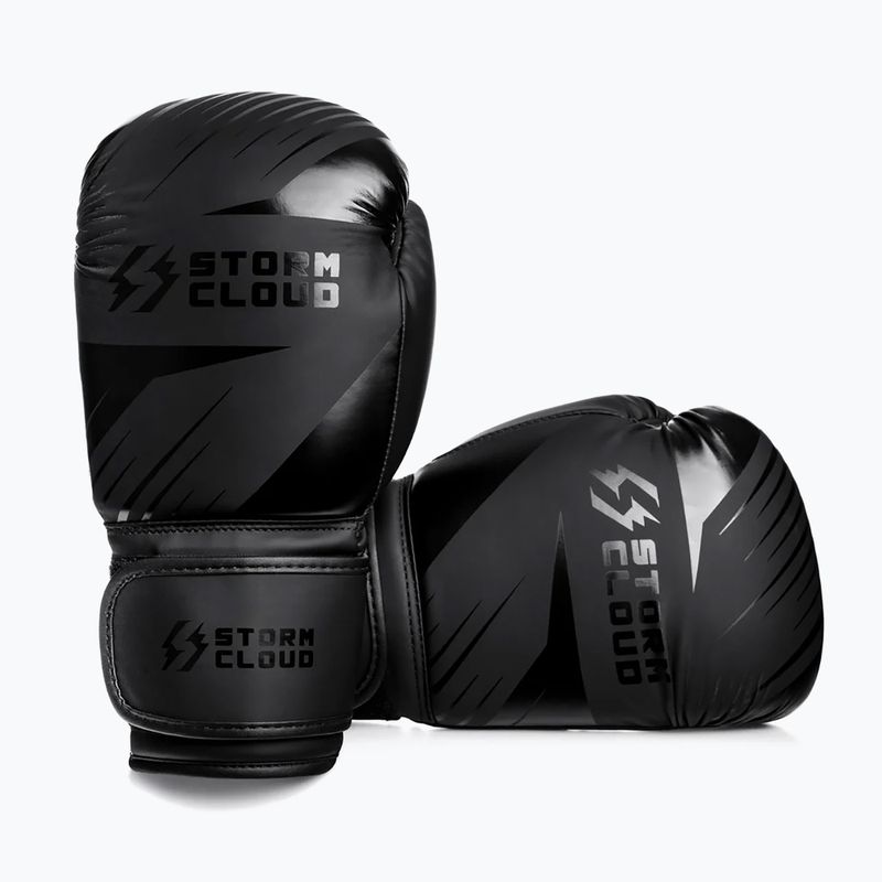 Boxerské rukavice StormCloud Lynx 2.0 black/black 3