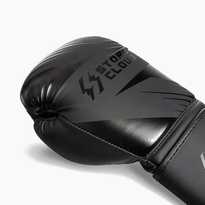 Boxerské rukavice StormCloud Lynx 2.0 black/black 6