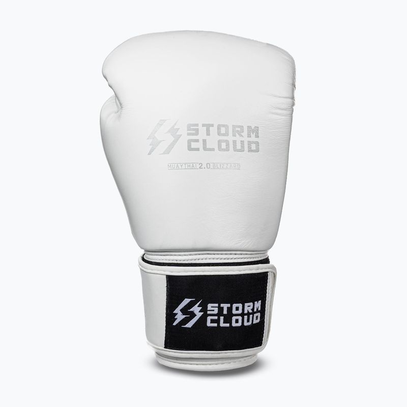 Boxerské rukavice StormCloud Muay Thai Blizzard 2.0 white/silver 2