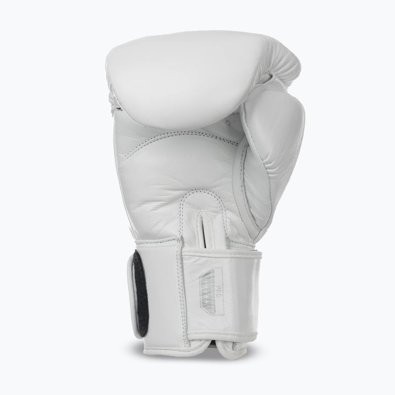 Boxerské rukavice StormCloud Muay Thai Blizzard 2.0 white/silver 3