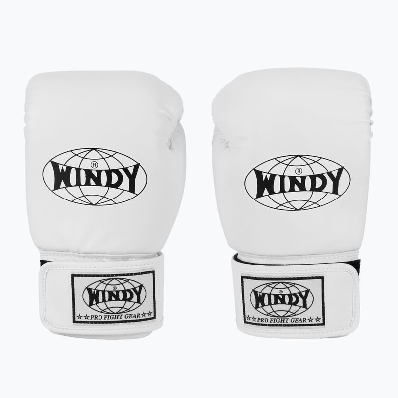 Boxerské rukavice WINDY Classic Synthetic Leather white 2
