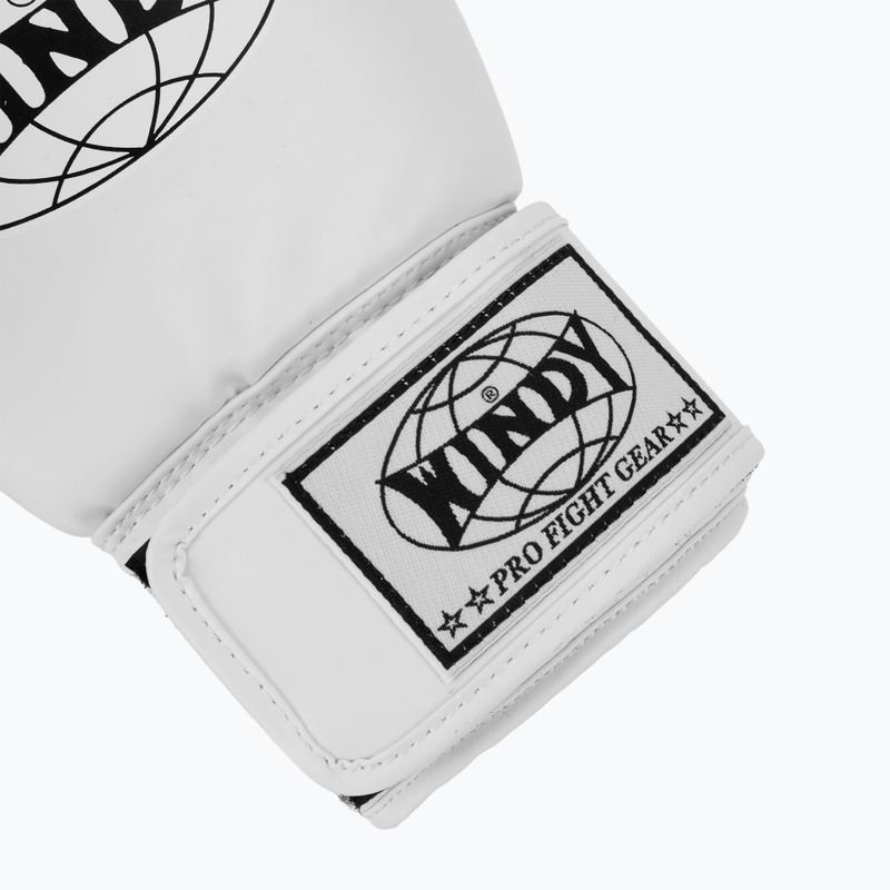 Boxerské rukavice WINDY Classic Synthetic Leather white 6