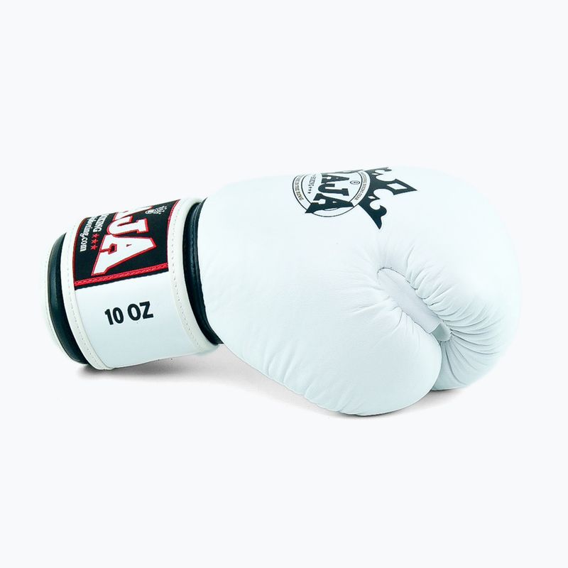 Boxerské rukavice RAJA BOXING Single Standard Genuine Leather white 4