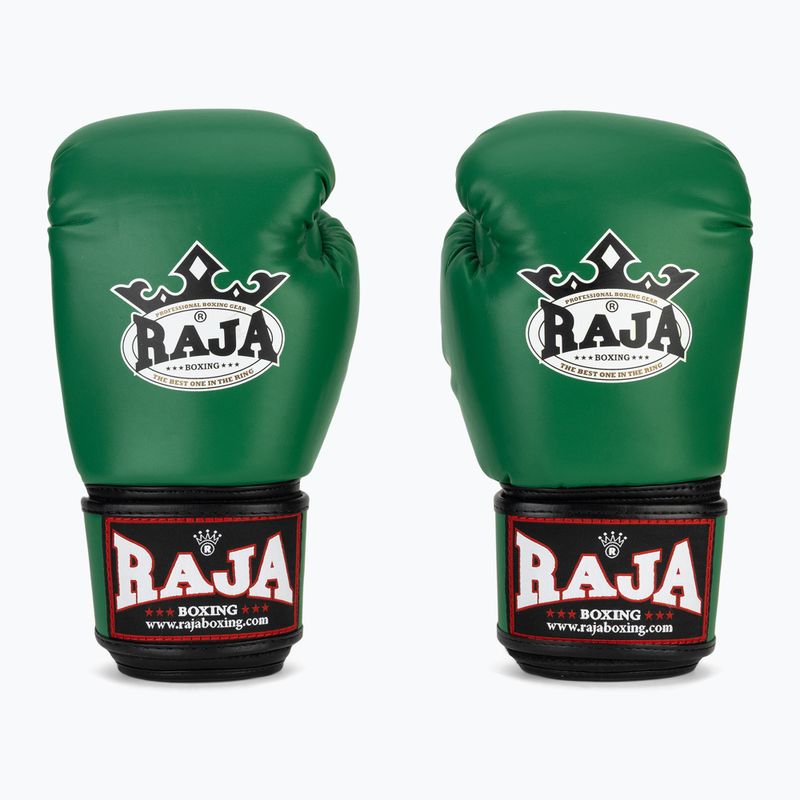 Boxerské rukavice RAJA BOXING Single Semi Leather green 2