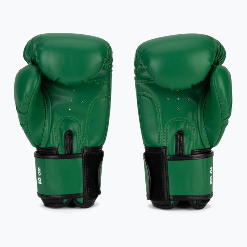 Boxerské rukavice RAJA BOXING Single Semi Leather green 3