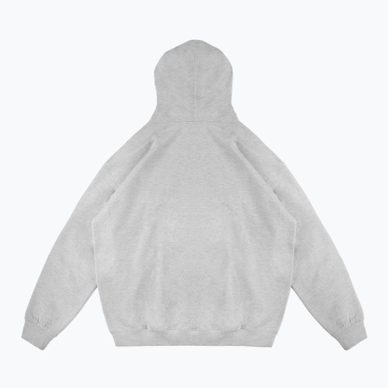 Pánska mikina PROSTO Biolog Hoodie gray 2