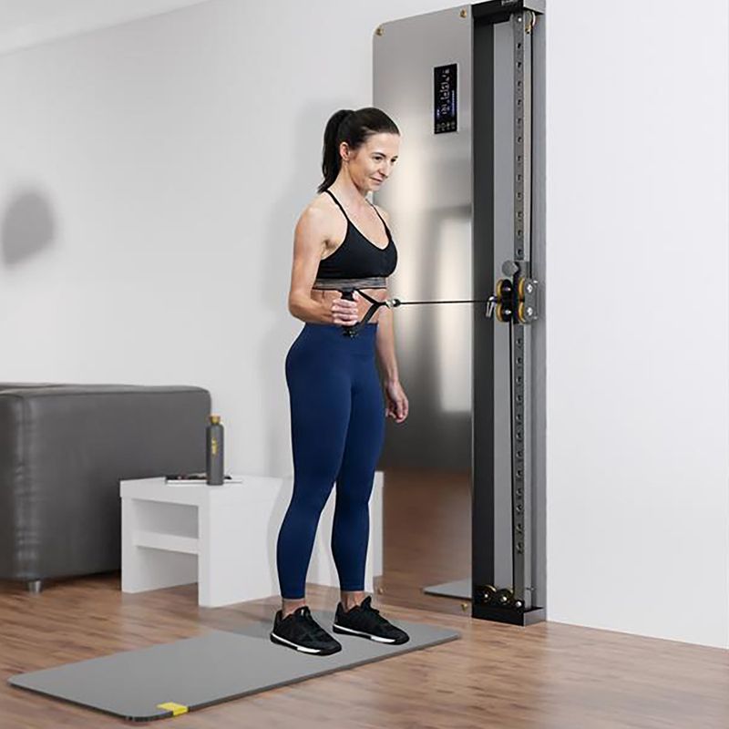 HMS BSP301 Komerčná nástenná tréningová brána 5