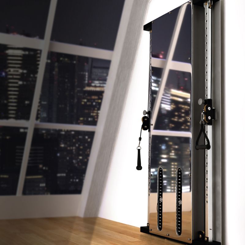 Dvojitá posilovacia kladka  na stenu HMS BS302 Commercial silver 14