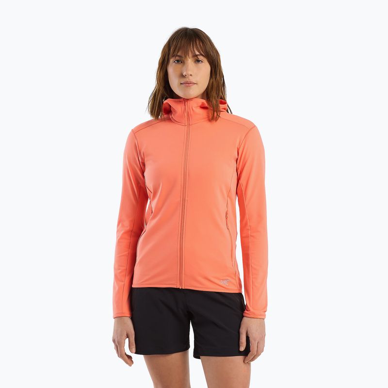 Dámska trekingová mikina Arc'teryx Kyanite LT Hoody grey X000005692046