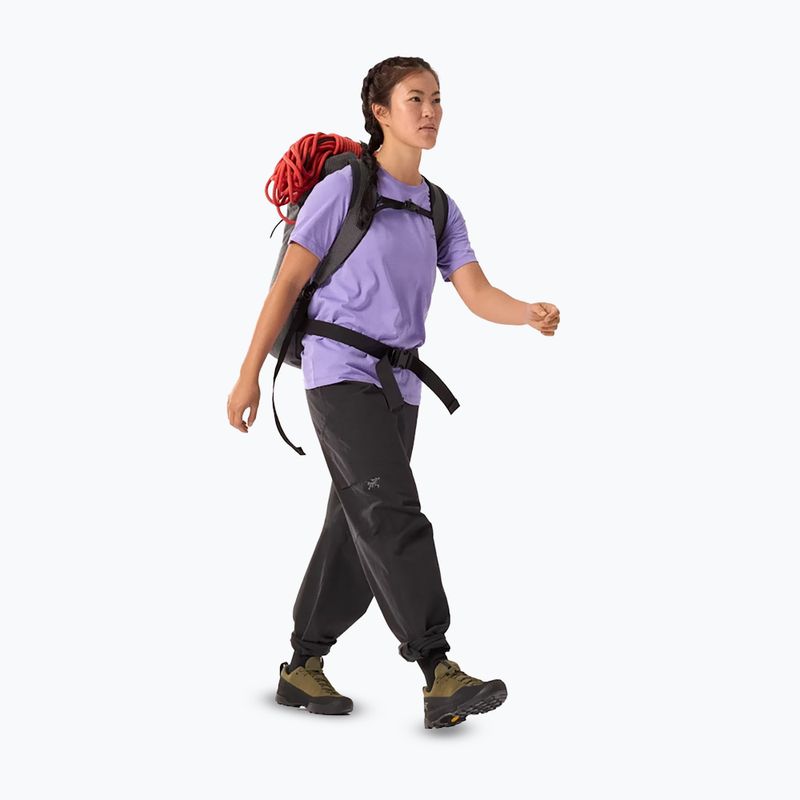 Damska koszulka Arcteryx Kragg Sl Cotton Emblem Crew aster 2