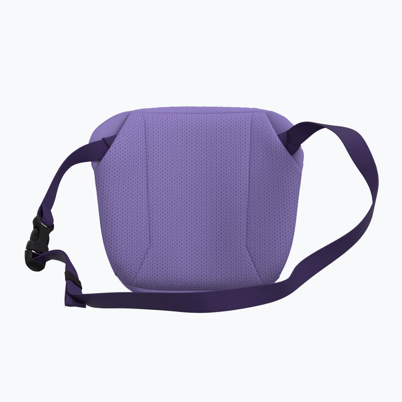 Ľadvinka Arc'teryx Mantis 2 2,5 l aster/azalea 3