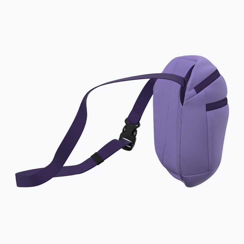 Ľadvinka Arc'teryx Mantis 2 2,5 l aster/azalea 4