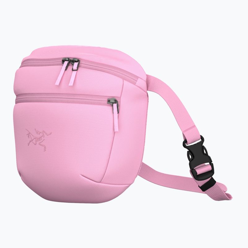 Vrecko Arc'teryx Mantis 2 2,5 and pineberry 2