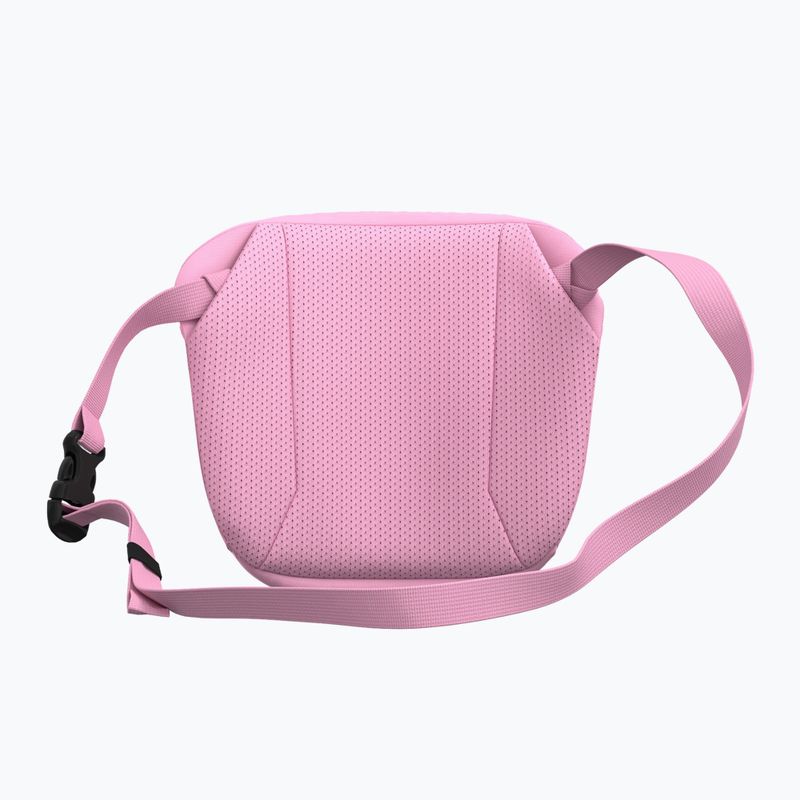 Ľadvinka Arcteryx Mantis 2 2,5 and pineberry 3