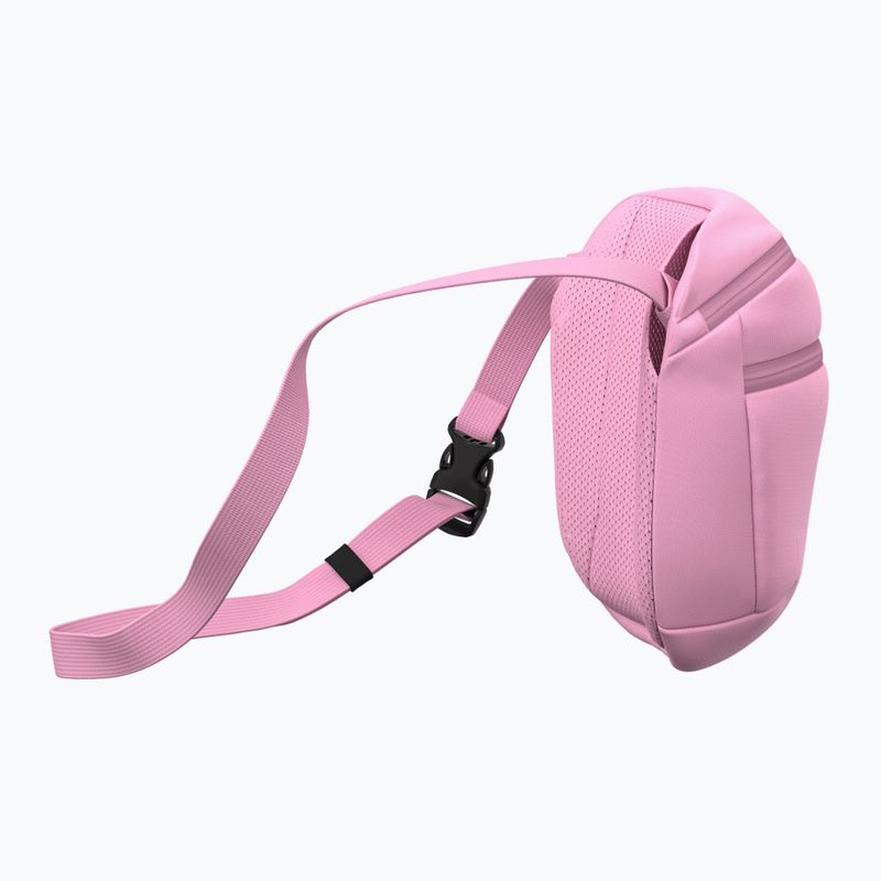 Ľadvinka Arcteryx Mantis 2 2,5 and pineberry 4