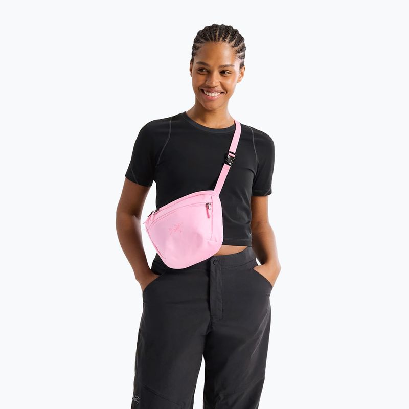 Ľadvinka Arcteryx Mantis 2 2,5 and pineberry 5