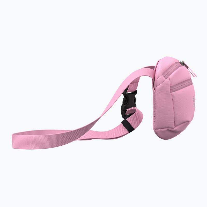 Vrecko Arc'teryx Mantis 1 1,5 l 4