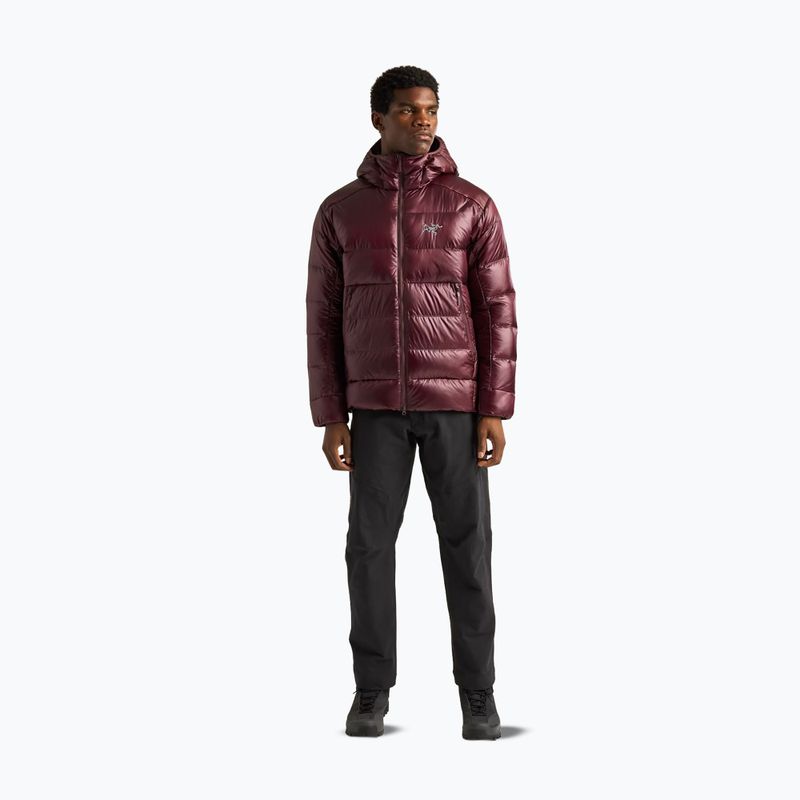 Pánska zateplená bunda Arcteryx Cerium SV Hoody ultima 2