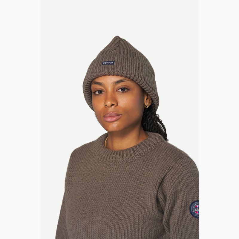 Zimná čiapka Devold Nansen Wool falcon 2