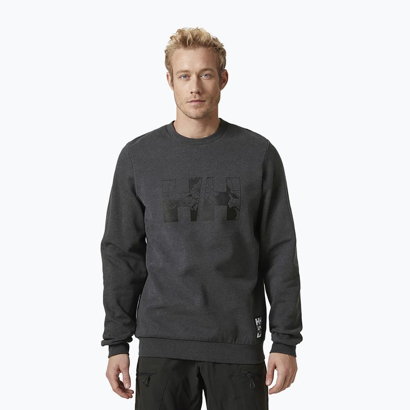 Pánsky sveter Helly Hansen Arctic Ocean sivý 30364_980