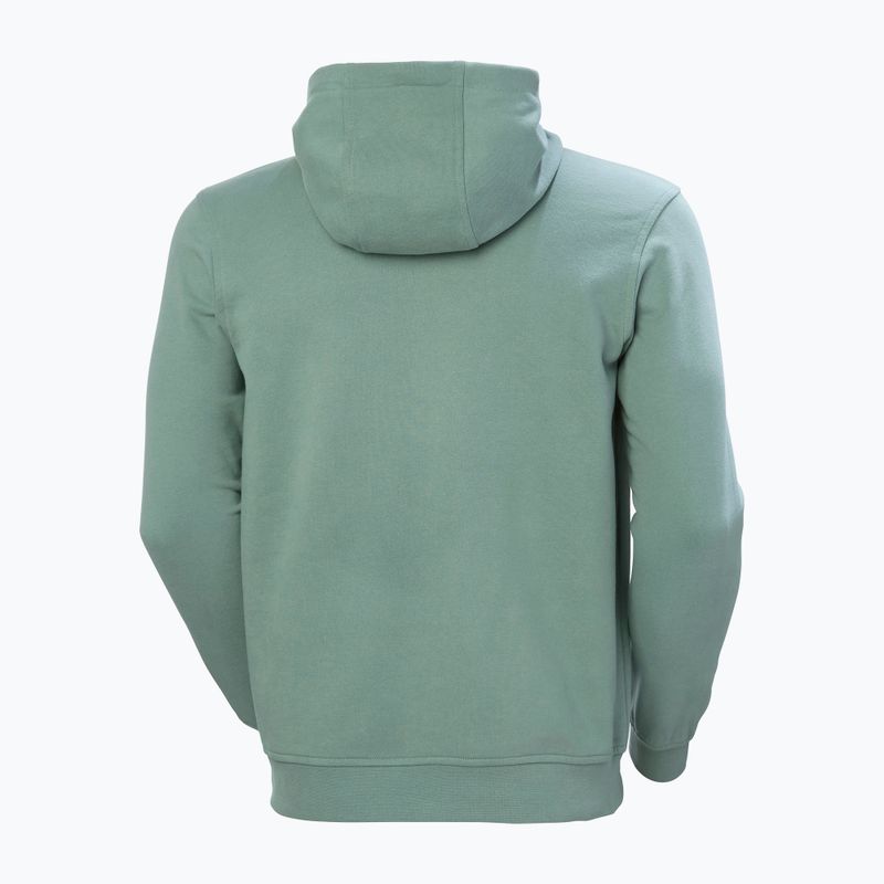 Pánska mikina Helly Hansen HH Logo Hoodie cactus 6