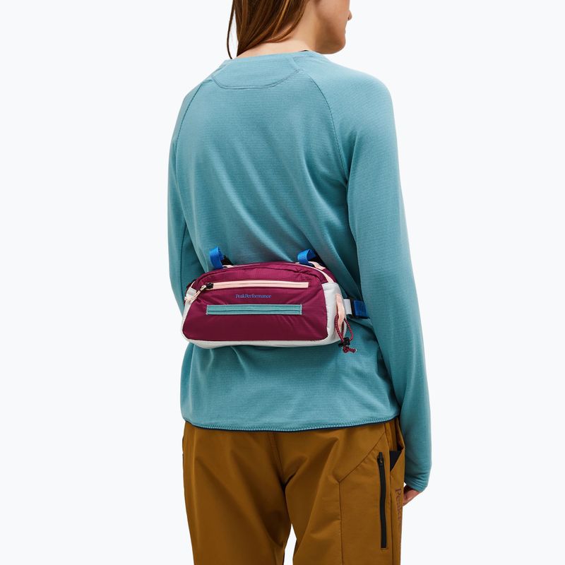 Ľadvinka Peak Performance Street Bike 2,3 l vertical zenith 9