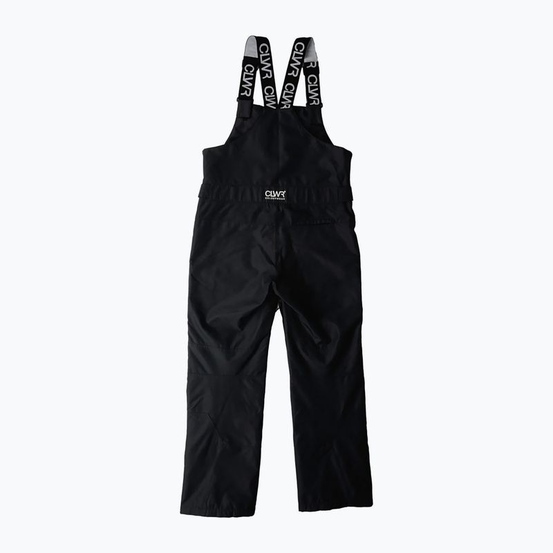 Pánske snowboardové nohavice Colourwear Slash Bib black 11