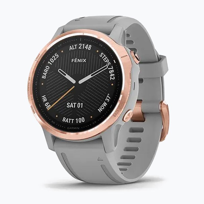 Hodinky Garmin Fenix 6S Sapphire silver 010-02159-21